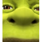 The Official Group of Animal Memes