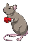 RatStreetFamily