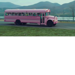 Pink Bus Group