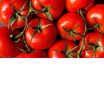 Tomato Studio 2020