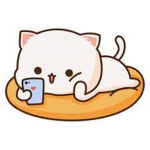 Cat cat meow meow