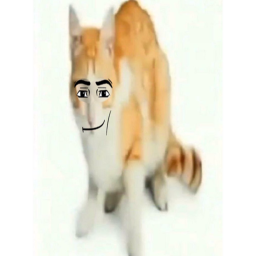 Meme Island