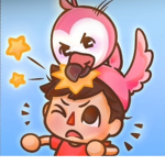 Flamingo pros