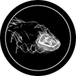["SCOUT-OF-CHERENKOV"]