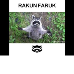 süper ra ku n