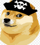 The doge piratess