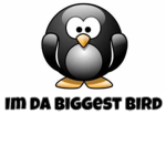 The Penguins but better