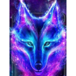 Team galaxy / galaxy_rober