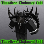 Timothee Chalamet Cult