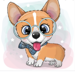 Scout the Corgi