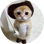 Buy Vip Rank [emotes & effects]