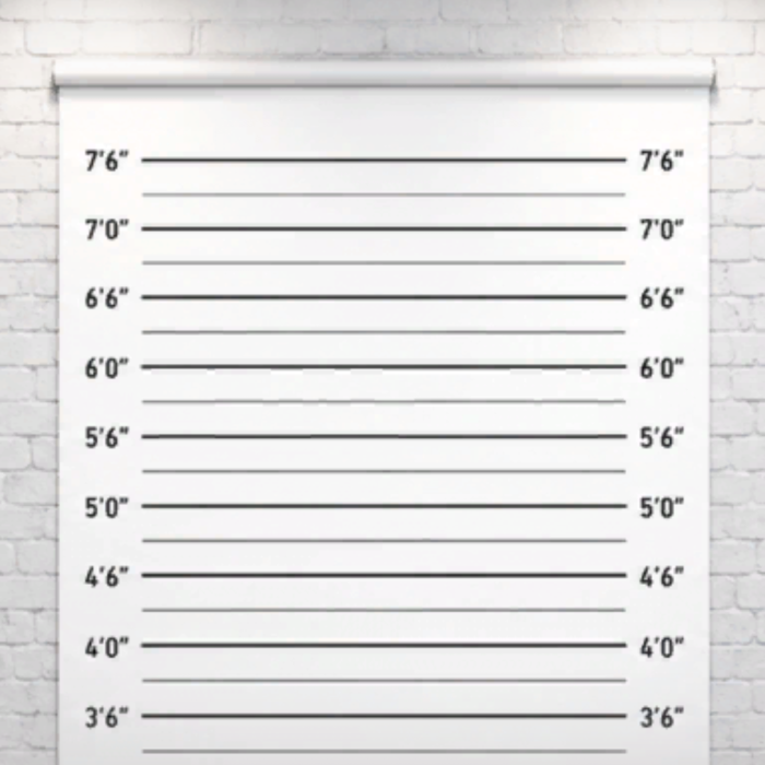 White Brick Mugshot Background