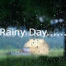 Rainy Day......