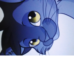 Warrior_cats fan club