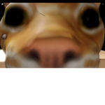 TheOnlyDev Group