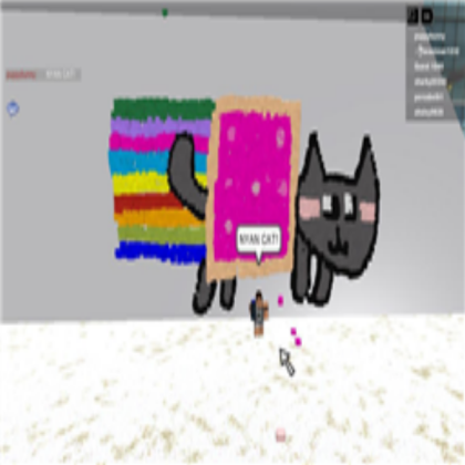 NYAN CAT SPRAY PAINTING! Roblox decal