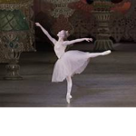 Ballet lessons