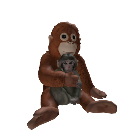 Baby Monkey