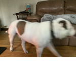 Eva!!!!!
