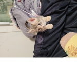 정윤이TV 팬그룹