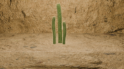 CactusPack preview 1
