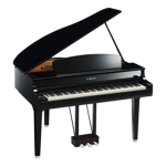 The Piano Protectors.