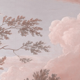 ♡︎