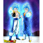 Dragon Ball Super Fan Club (DBSFC)