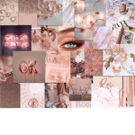 ~~~~Aesthetic~group~~~~