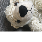 #Polar bear forever