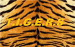 T.I.G.E.R.S