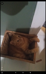 Da best cats!