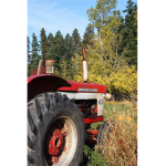 Farm sim