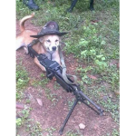 Buster The Bustest
