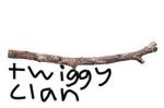 Twiggy Nation