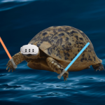 PaperTurtle Community