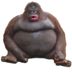 MONKE REVENGE