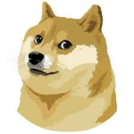 Doge Clothing CO.