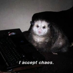OPOSSUMS!!!