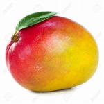 The Mango Tree Fam