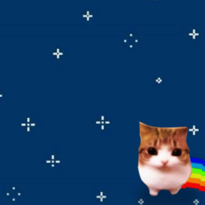 Rainbow Star Funny Cute Meme Cat Background