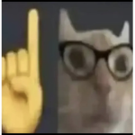 - E X P R E S S -