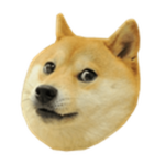 The dog Universe Army