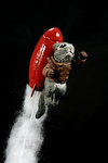 Rocket Cats