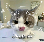 robloxxClothes