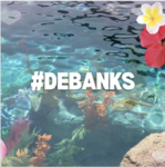 # DEBANKS