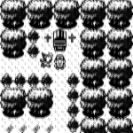 Pokemon Group!!