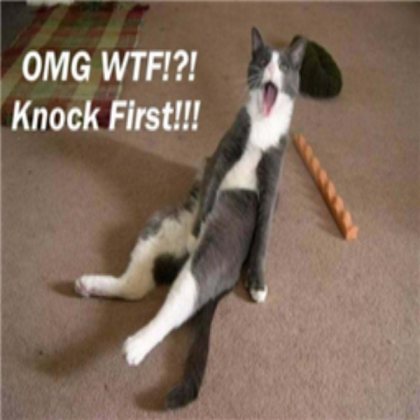 funny cat XD Roblox decal