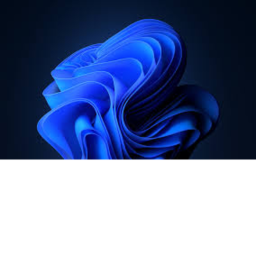 SES