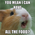 Hamster meme